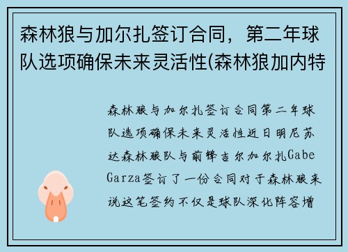 森林狼与加尔扎签订合同，第二年球队选项确保未来灵活性(森林狼加内特图片)